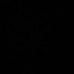 Meet your Posher, Ricardo